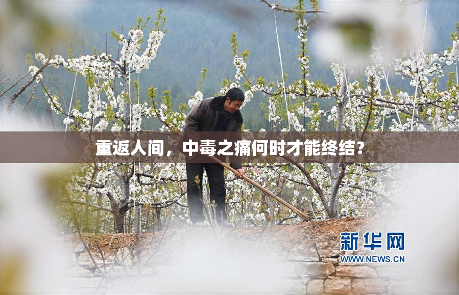 重返人间，中毒之痛何时才能终结？