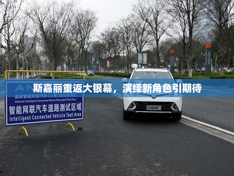 斯嘉丽重返大银幕，演绎新角色引期待