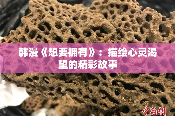韩漫《想要拥有》：描绘心灵渴望的精彩故事