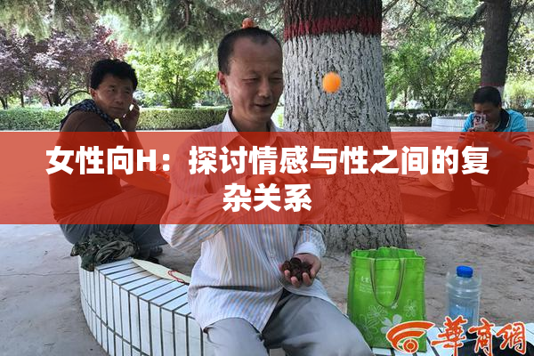 女性向H：探讨情感与性之间的复杂关系