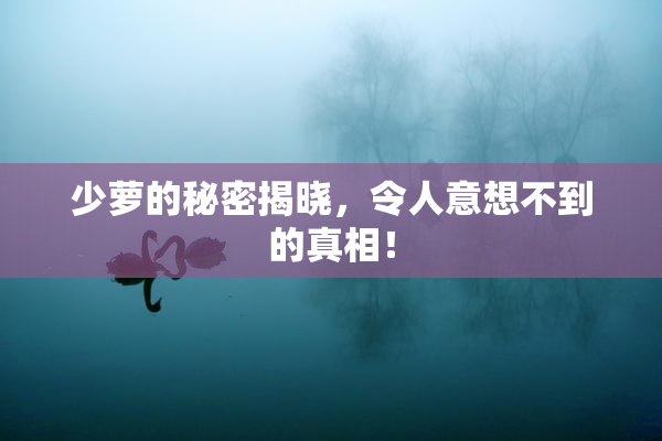 少萝的秘密揭晓，令人意想不到的真相！
