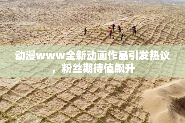 动漫www全新动画作品引发热议，粉丝期待值飙升