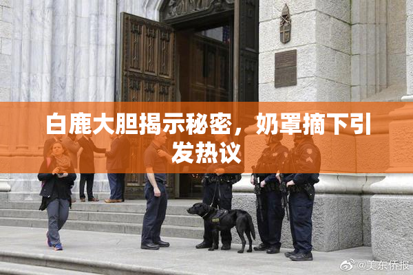 白鹿大胆揭示秘密，奶罩摘下引发热议