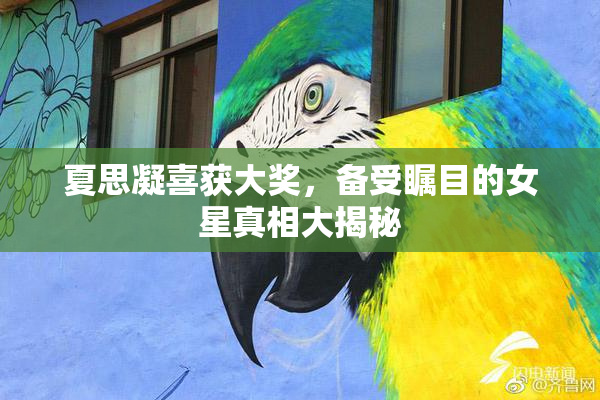 夏思凝喜获大奖，备受瞩目的女星真相大揭秘