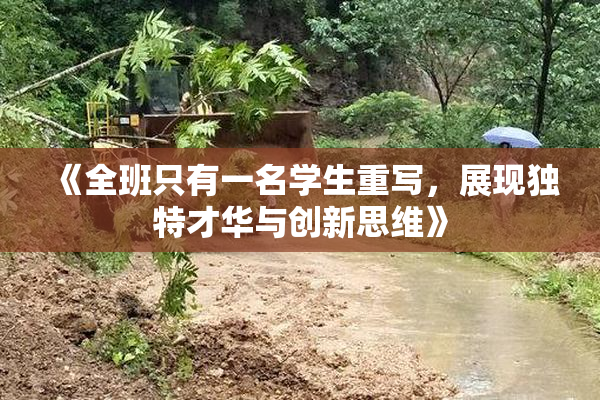 《全班只有一名学生重写，展现独特才华与创新思维》