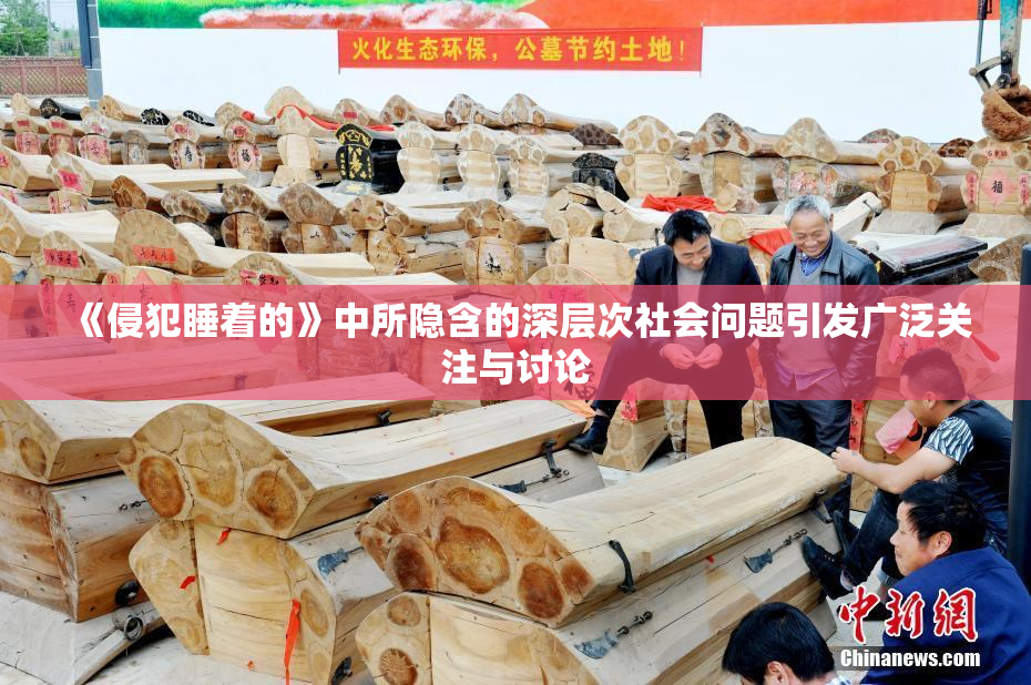 《侵犯睡着的》中所隐含的深层次社会问题引发广泛关注与讨论