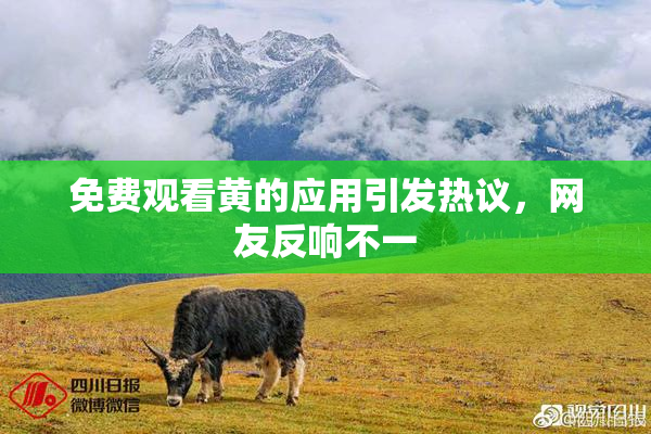免费观看黄的应用引发热议，网友反响不一