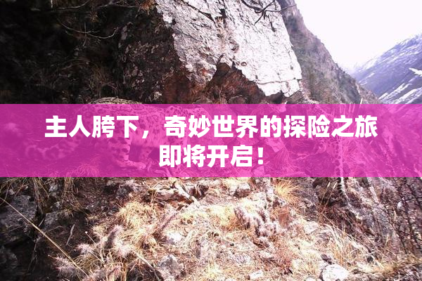 主人胯下，奇妙世界的探险之旅即将开启！