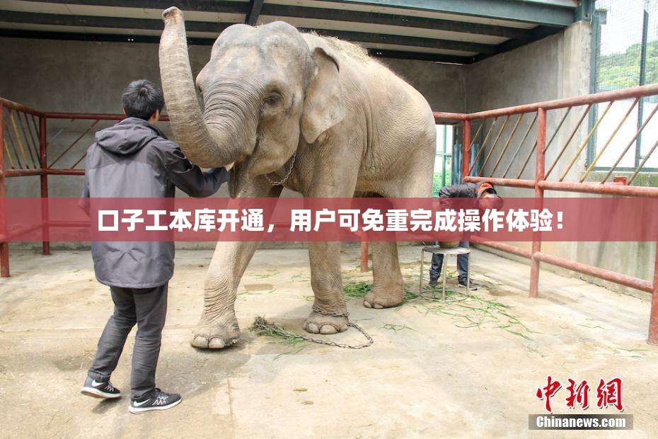 口子工本库开通，用户可免重完成操作体验！