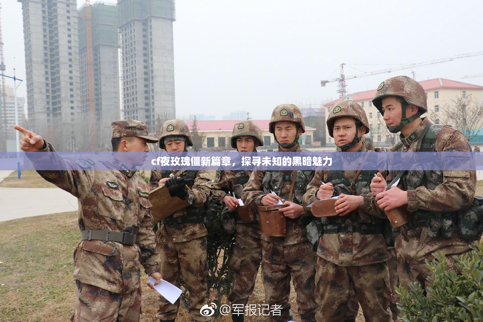 cf夜玫瑰僵新篇章，探寻未知的黑暗魅力