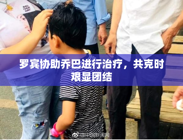 罗宾协助乔巴进行治疗，共克时艰显团结