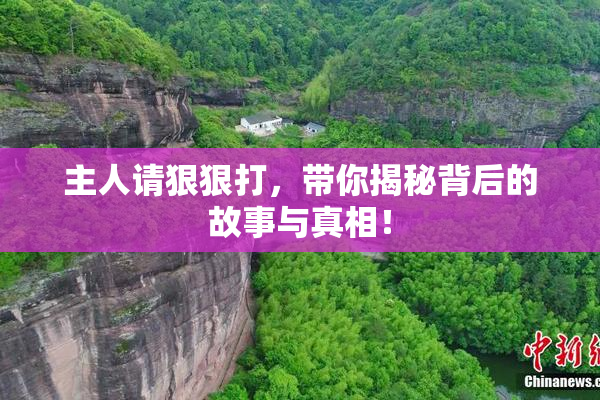 主人请狠狠打，带你揭秘背后的故事与真相！
