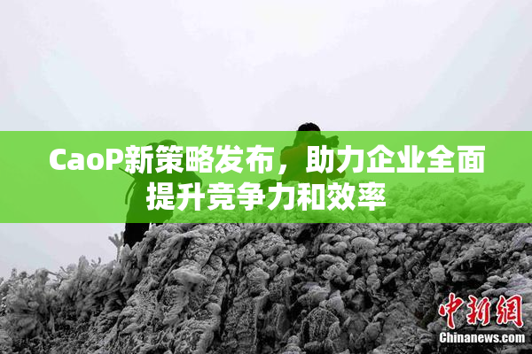 CaoP新策略发布，助力企业全面提升竞争力和效率