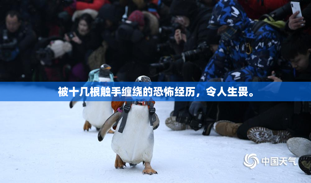被十几根触手缠绕的恐怖经历，令人生畏。