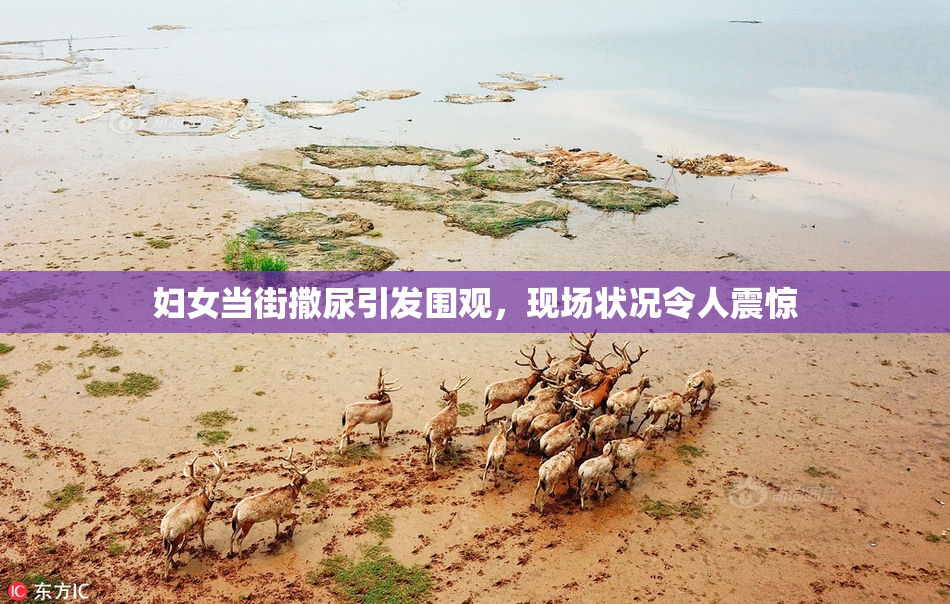 妇女当街撒尿引发围观，现场状况令人震惊