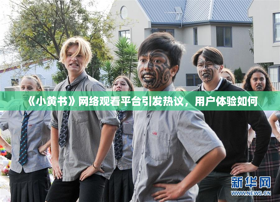 《小黄书》网络观看平台引发热议，用户体验如何
