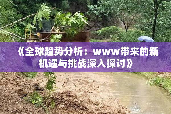 《全球趋势分析：www带来的新机遇与挑战深入探讨》
