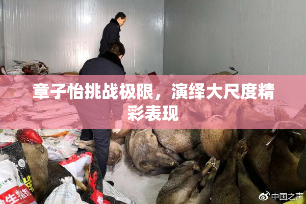 章子怡挑战极限，演绎大尺度精彩表现
