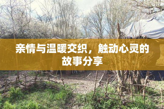 亲情与温暖交织，触动心灵的故事分享