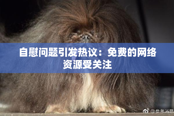 自慰问题引发热议：免费的网络资源受关注