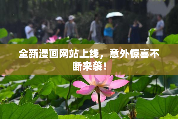 全新漫画网站上线，意外惊喜不断来袭！