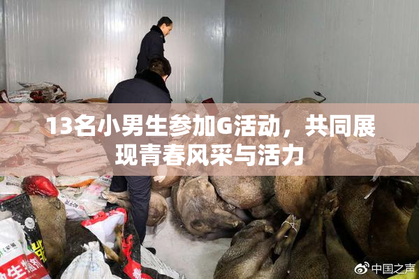 13名小男生参加G活动，共同展现青春风采与活力