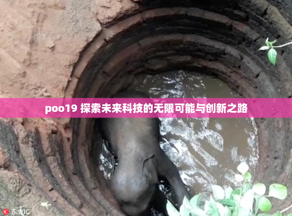 poo19 探索未来科技的无限可能与创新之路