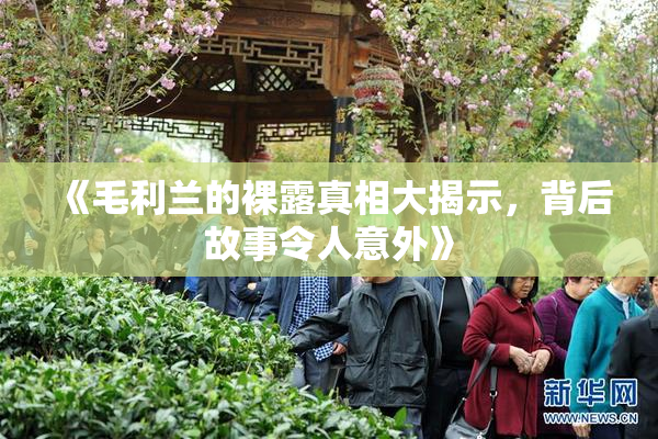 《毛利兰的裸露真相大揭示，背后故事令人意外》