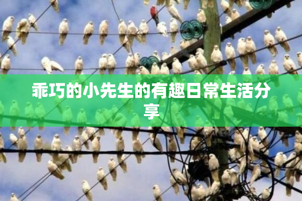 乖巧的小先生的有趣日常生活分享