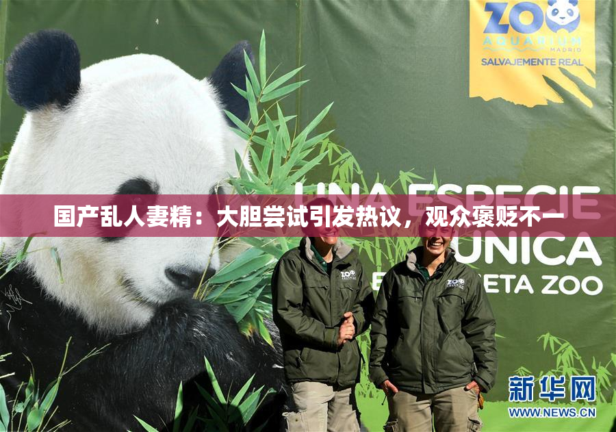 国产乱人妻精：大胆尝试引发热议，观众褒贬不一