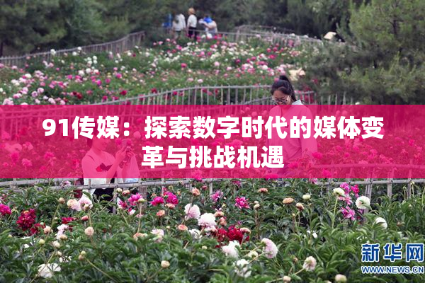 91传媒：探索数字时代的媒体变革与挑战机遇