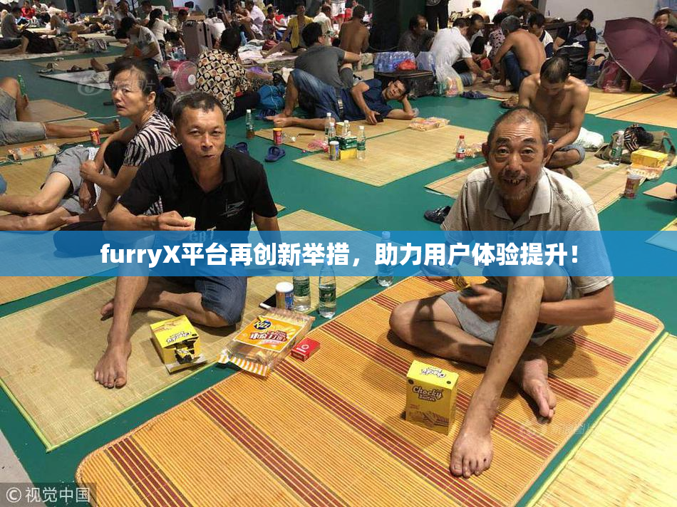 furryX平台再创新举措，助力用户体验提升！