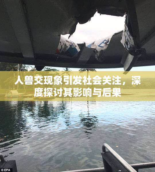 人兽交现象引发社会关注，深度探讨其影响与后果