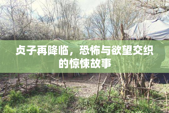 贞子再降临，恐怖与欲望交织的惊悚故事