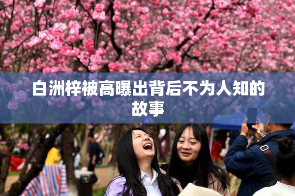 白洲梓被高曝出背后不为人知的故事