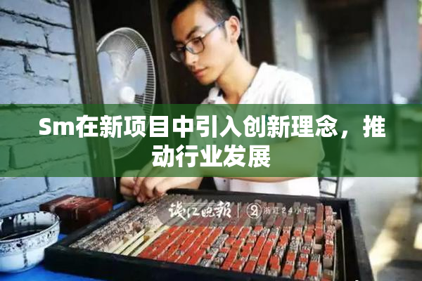 Sm在新项目中引入创新理念，推动行业发展