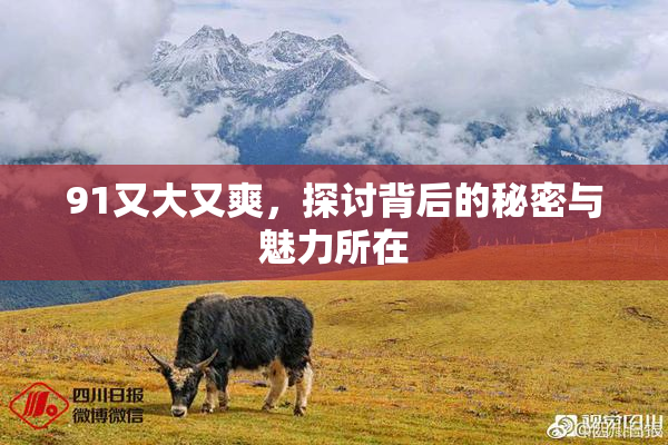 91又大又爽，探讨背后的秘密与魅力所在