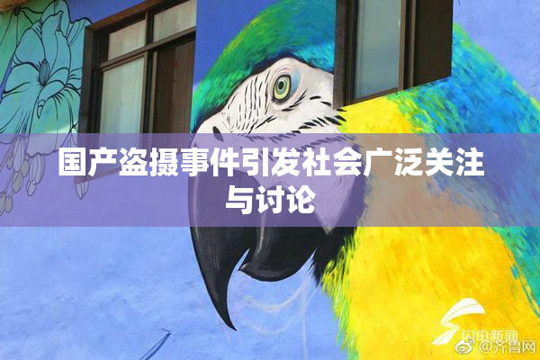 国产盗摄事件引发社会广泛关注与讨论