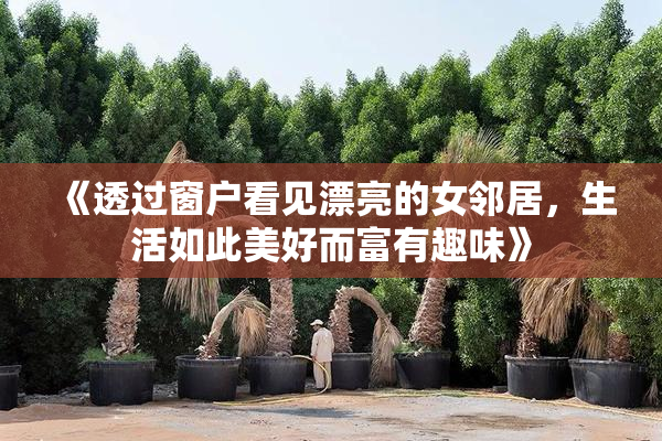 《透过窗户看见漂亮的女邻居，生活如此美好而富有趣味》