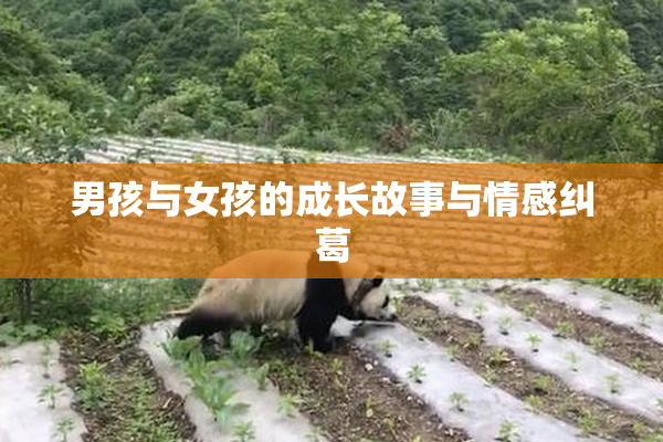 男孩与女孩的成长故事与情感纠葛