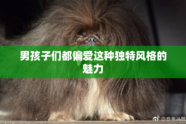 男孩子们都偏爱这种独特风格的魅力