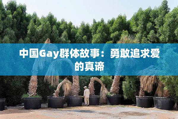 中国Gay群体故事：勇敢追求爱的真谛
