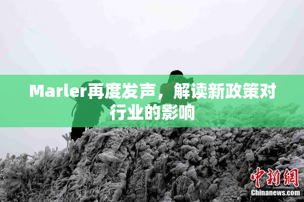Marler再度发声，解读新政策对行业的影响