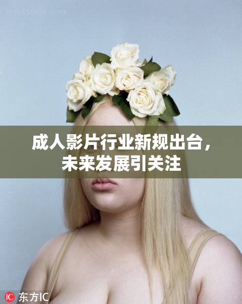 成人影片行业新规出台，未来发展引关注