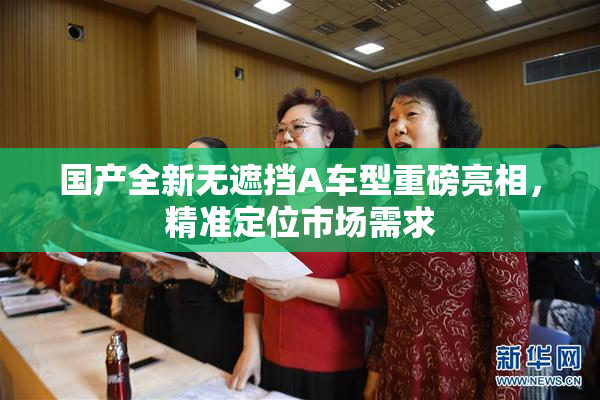 国产全新无遮挡A车型重磅亮相，精准定位市场需求