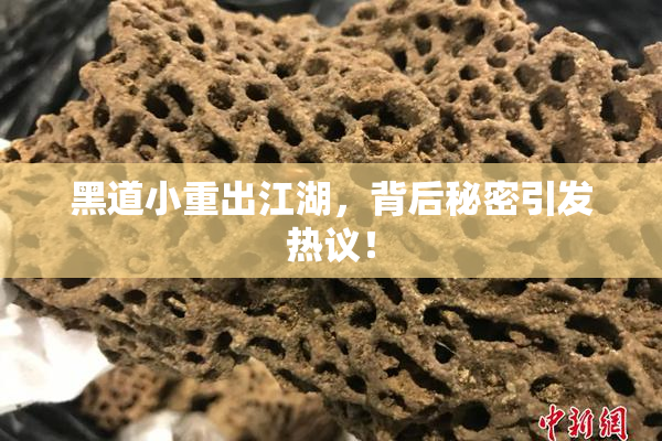 黑道小重出江湖，背后秘密引发热议！