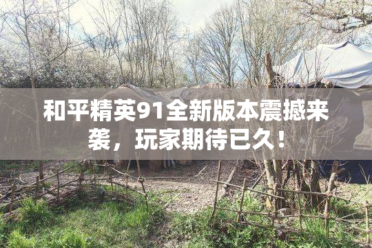和平精英91全新版本震撼来袭，玩家期待已久！