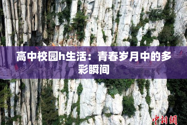 高中校园h生活：青春岁月中的多彩瞬间