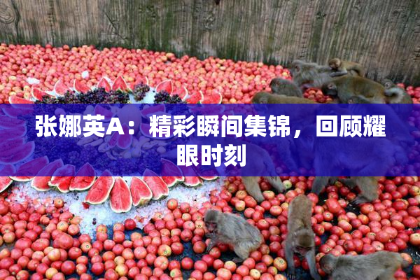 张娜英A：精彩瞬间集锦，回顾耀眼时刻