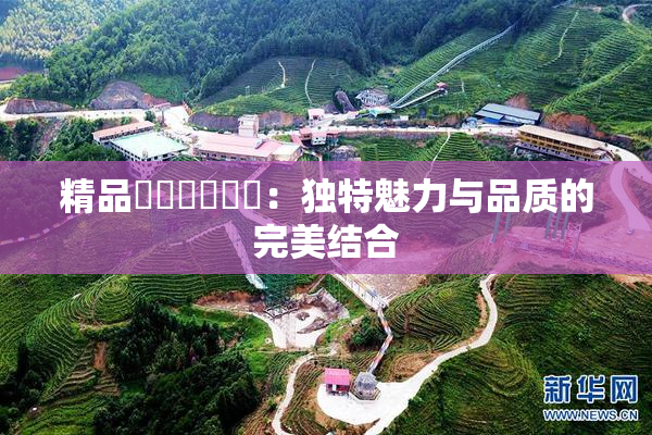 精品❌‌❌‌❌‌：独特魅力与品质的完美结合